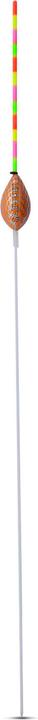 Produktbild Sänger Multicolor Spotted Boy 0,3g 10 Stk. (21 cm)
