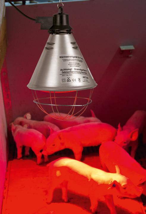 Produktbild Kerbl Infrarot Wärmestrahler für Ferkel / Küken (ohne Lampe, Alu-Schirm? 21 cm, Kabel 2,5 m, inkl.