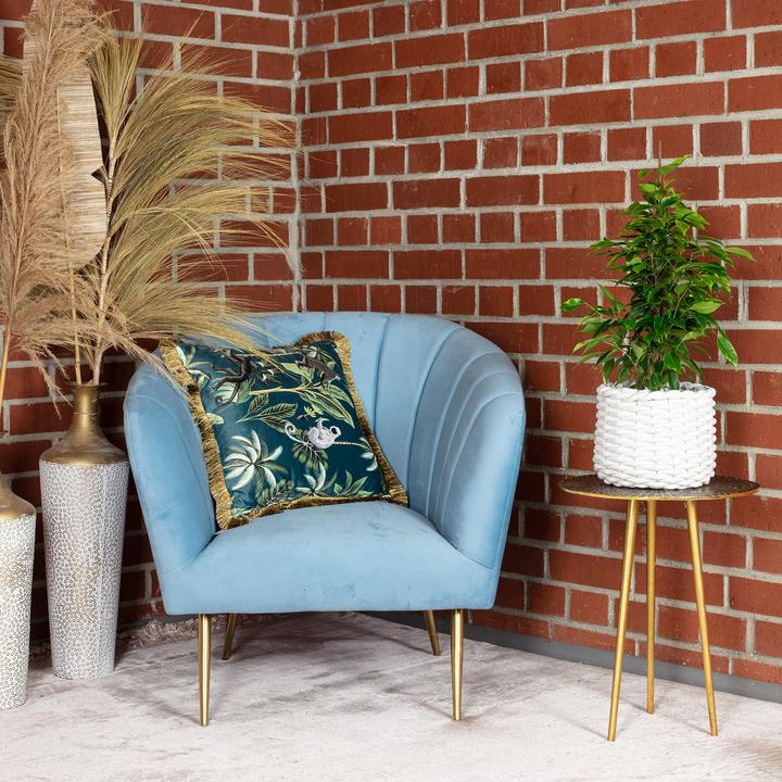 Immagine prodotto Flowerbox Fico della Betulla "Forever" - Ficus benjamini (75 cm)