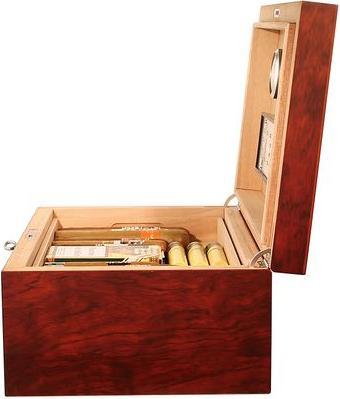 Actual product image adorini Humidor Trieste Basic L