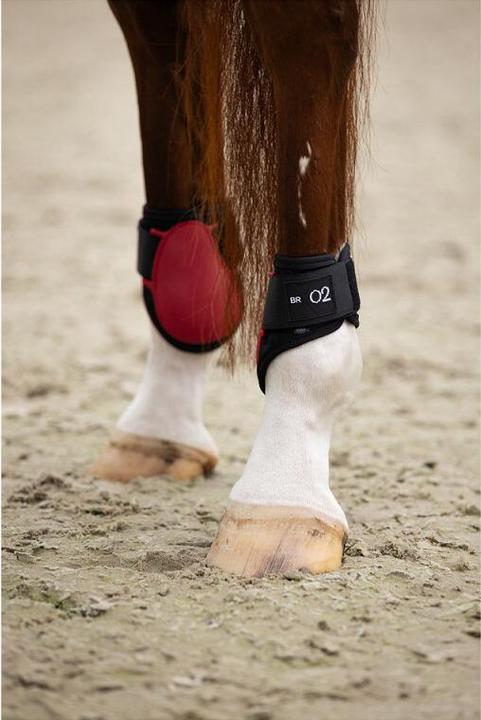 Produktbild BR Equestrian Equipment XO2