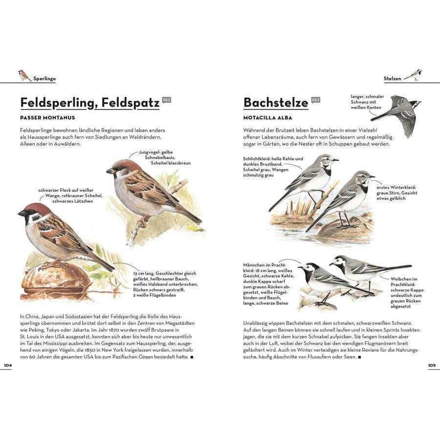 Thumbnail - Einfach Gartenvögel, Ratgeber von Felix Weiss