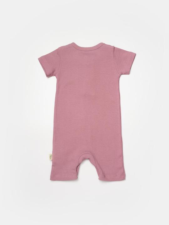 Produktbild BabyCosy Strampler kurze. kurzarm. 2 Pack (80)