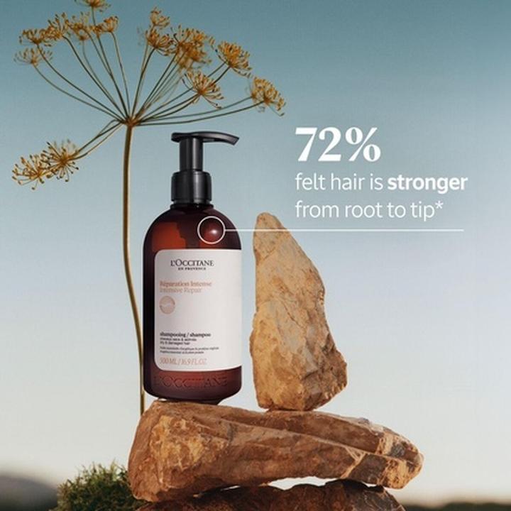 Actual product image L'Occitane Intensive Repair (500 ml, Liquid shampoo)