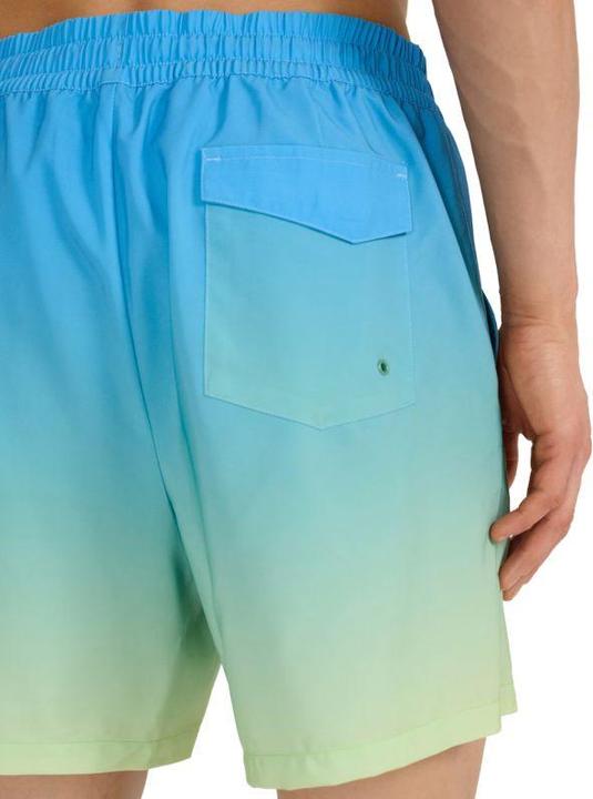 Image du produit 4F Herren-Badeshorts (M)