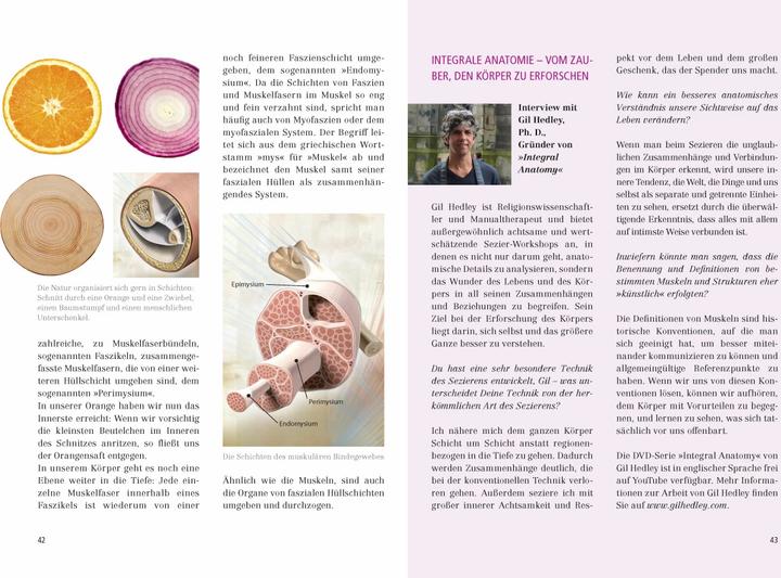 Produktbild Das grosse Faszien-Yoga Buch (Deutsch, Daniela Meinl, 2017)