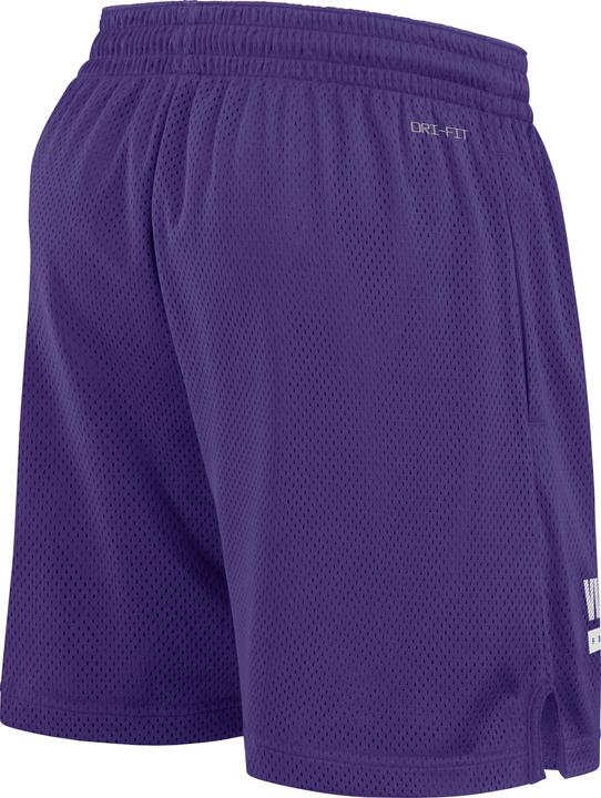 Actual product image Nike Minnesota Vikings Dri-Fit Mesh Short L (L)