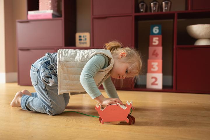 Actual product image BS Pull the crab