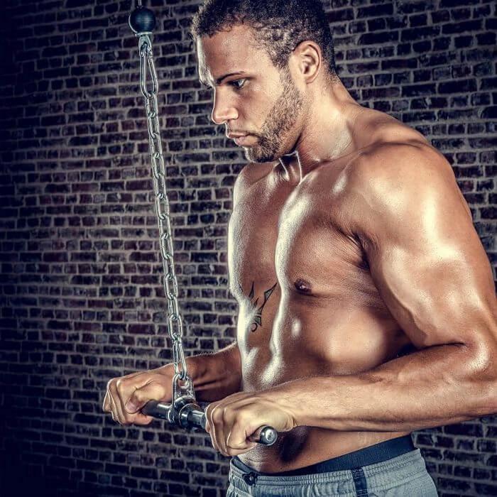 Image du produit ATX Barre de triceps / biceps droite environ 50 cm