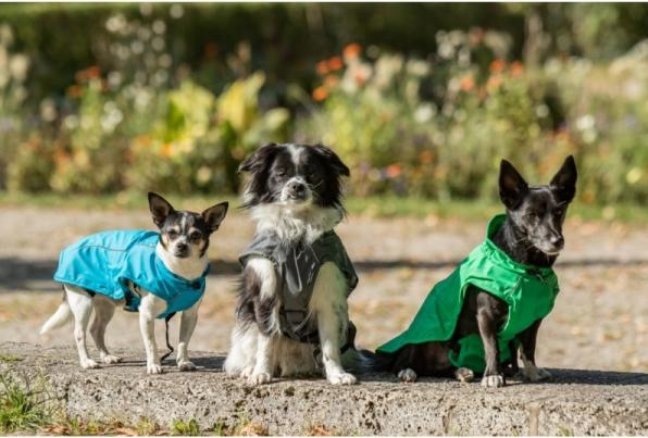 Image du produit Chiara Harry (XL, Manteau pour chien)