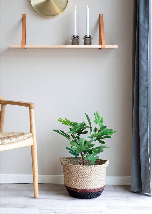 Produktbild House Nordic Fig (60 cm)