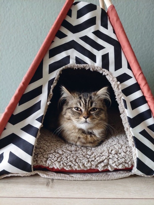 Produktbild Beeztees Tipi Zelt Vigo (Katze)