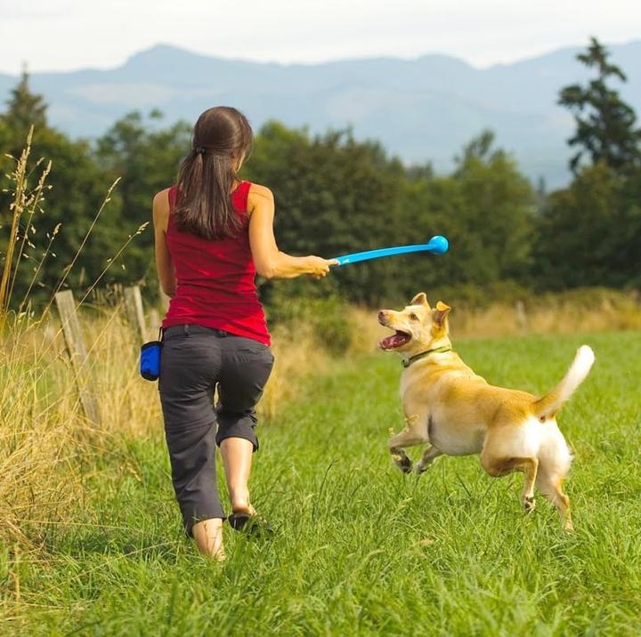 Actual product image Chuckit! Sports (Ball toy dog)