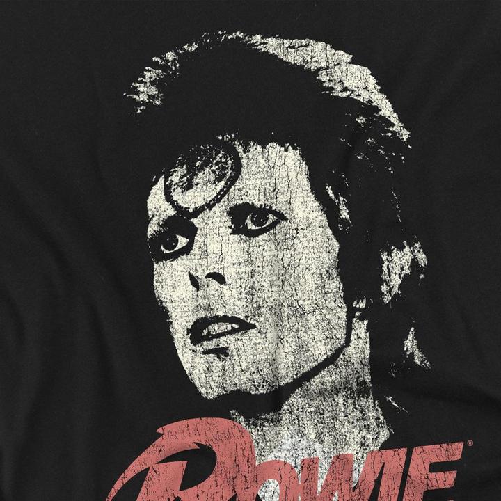 Produktbild David Bowie TShirt (5XL)