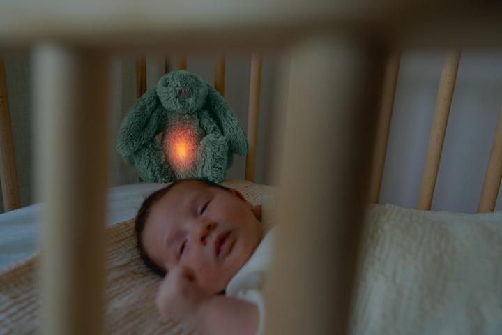 Image du produit ZaZu RO the Rabbit Green