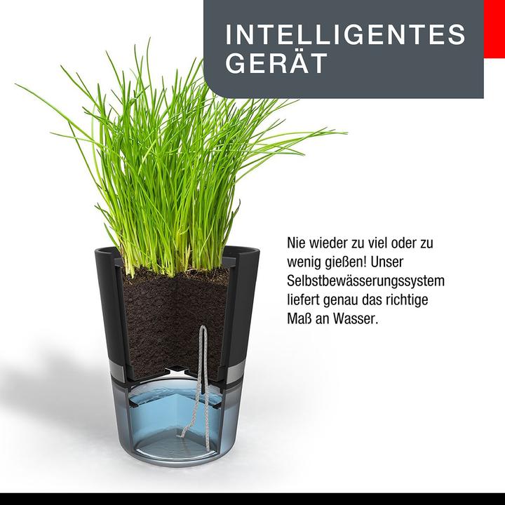 Image du produit GEFU Botanico (14.20 cm)