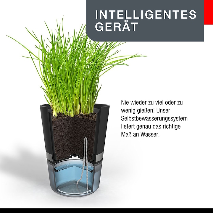 Produktbild GEFU Botanico (14.20 cm)