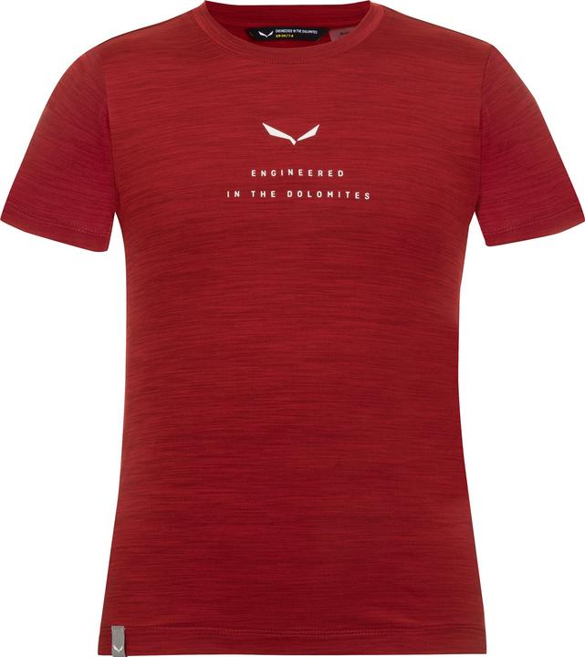 Salewa Kid's Eagle Dry S/S Tee K (164)