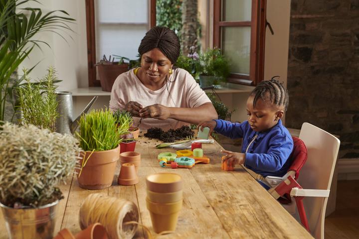 Immagine prodotto Chicco Sorter di forma Baobab - Eco+