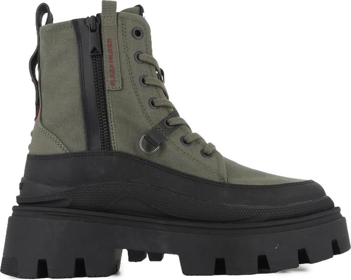 Olive Night
