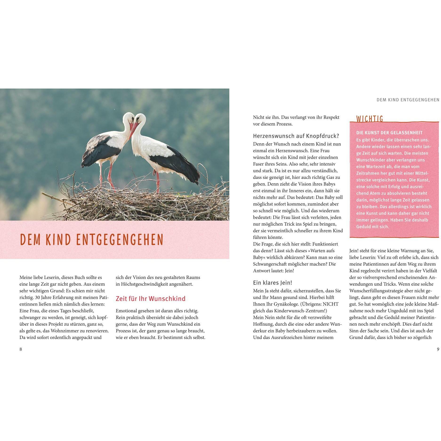 Thumbnail - Kinderwunsch, Ratgeber von Birgit Zart