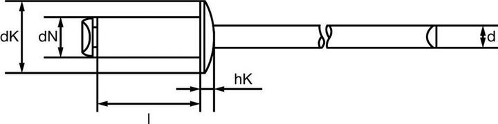 Image du produit Gesipa Pince à rivets aveugles NTX-F (260 mm)
