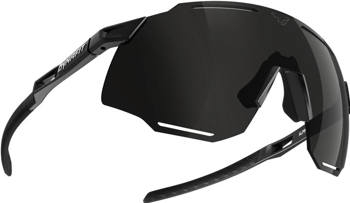 Actual product image Dynafit Alpine sunglasses unisex