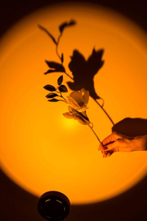 Actual product image No Label Lampe (350 lm)