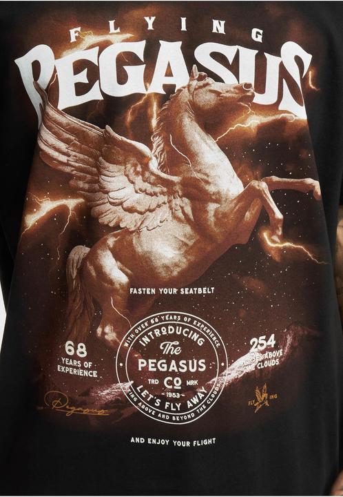 Image du produit MT Tee-shirt oversize Pegasus (XL)