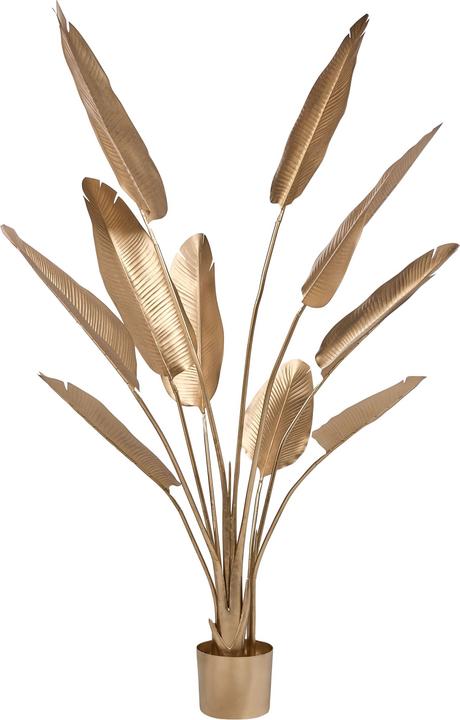 Produktbild Beliani Banana Tree (162 cm)