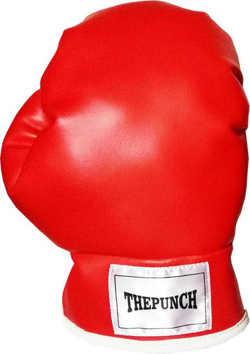 Image du produit Evolution Chaussures de boxe