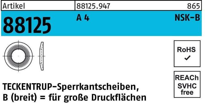 Teckentrup Rondella di bloccaggio R 88125 NSK-B 10 A 4