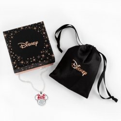 Produktbild NoName MINNIE - Collier Anniversaire en Laiton Plaqué Argent - Avril (Sterling Silber)
