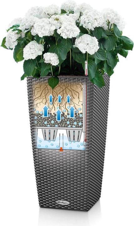 Immagine prodotto Lechuza Cubico Cottage (39.50 cm)