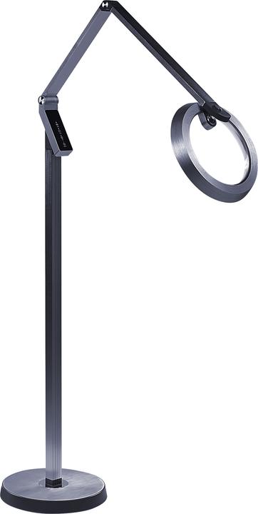 Image du produit Beliani Lampadaire gris foncé LED CARINA (760 lm)