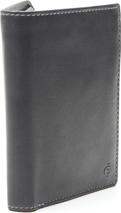 Actual product image Esquire Purse DALLAS