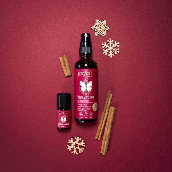 Actual product image Farfalla Poinsettia