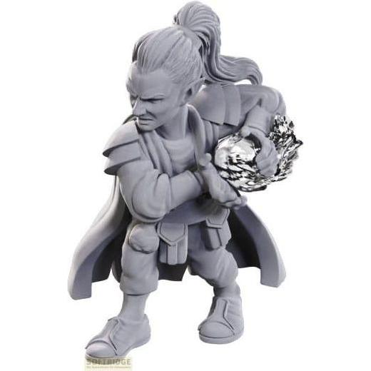 Wizkids D&D Nolzur's Marvelous Miniatures Miniature non dipinte Piratesco Mago
