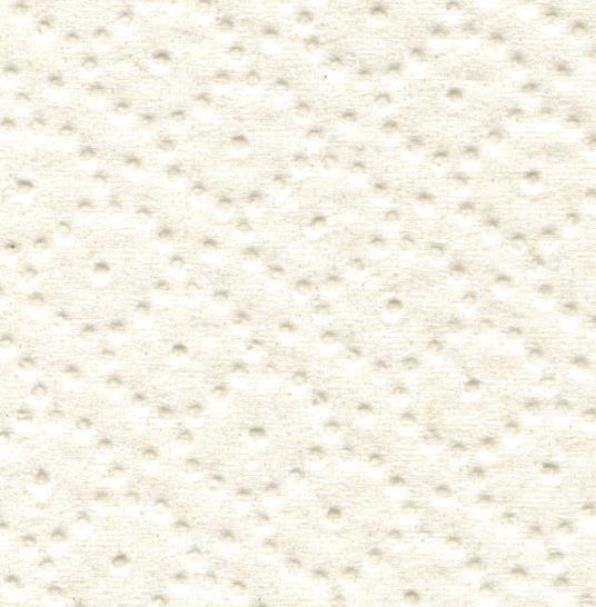 Actual product image Wepa 64xSatino Smart toilet paper 3-ply white - 1 bag of 8x8 rolls (8 pcs.)