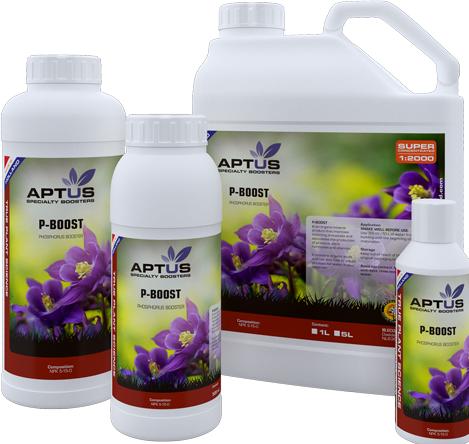Produktbild Aptus P-Boost (0.99 kg, 1 l)