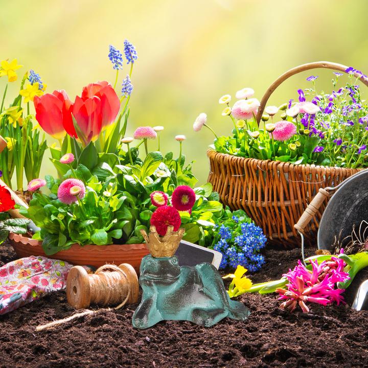 Produktbild Relaxdays Gartenfigur Froschkönig