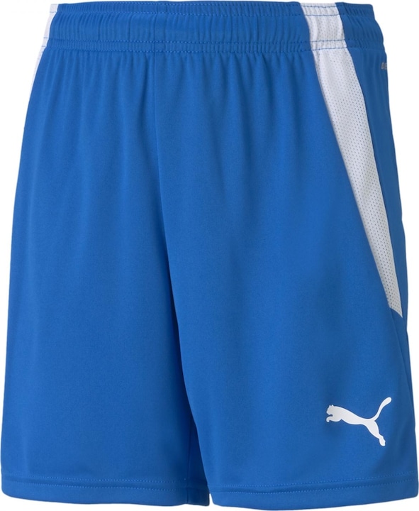 Actual product image Puma teamLIGA Shorts Jr-704931 (164)