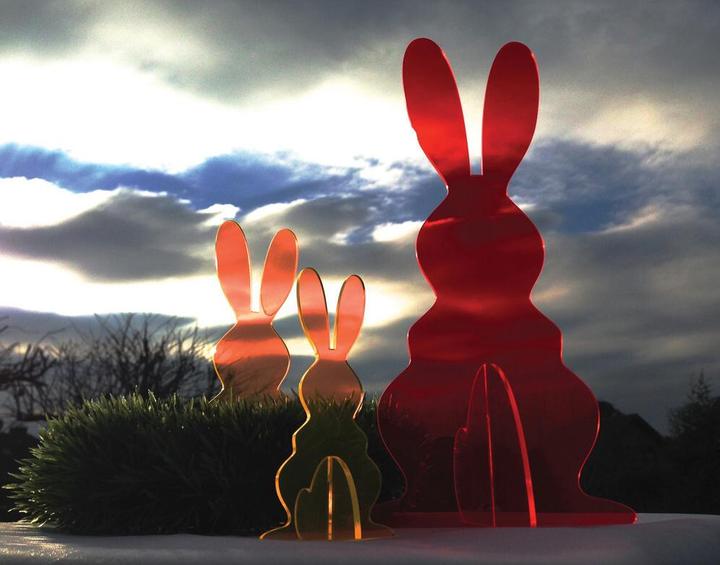 Produktbild Elliot Otolumi Bunny 3D