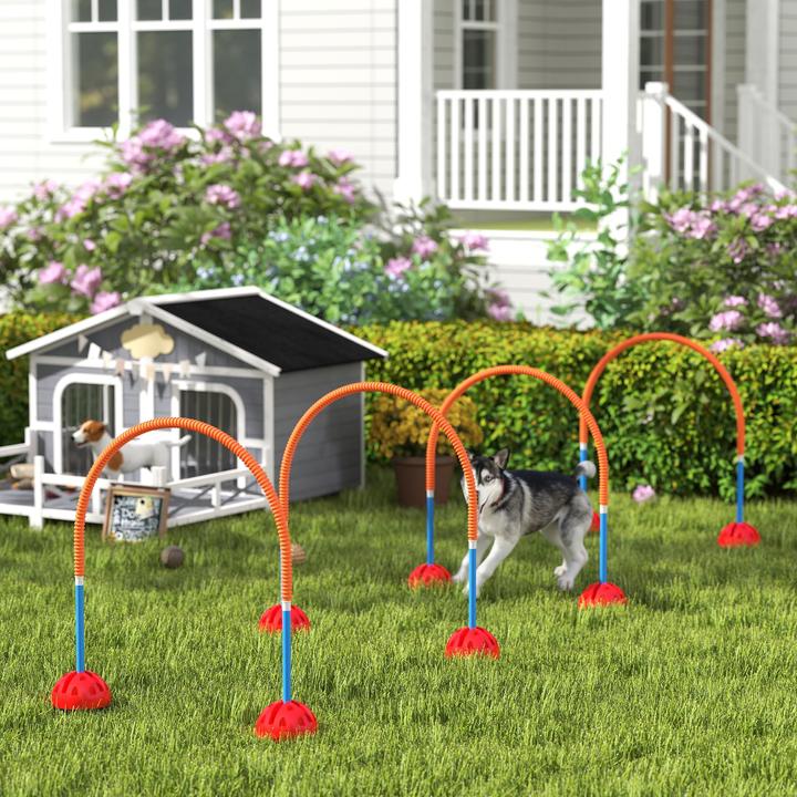 Immagine prodotto PawHut Hund Agility Set Kunststoff Blau+Orange (Destrezza)