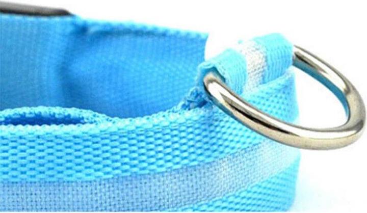 Produktbild Cbx Aufladbares LED-Hundehalsband Grösse S - 38-41cm (S, Hund, Hundesport)