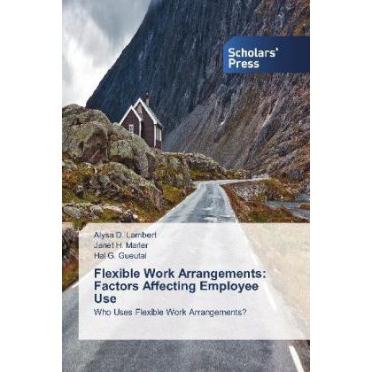 Flexible Work Arrangements: Factors Affecting Employee Use, Fachbücher