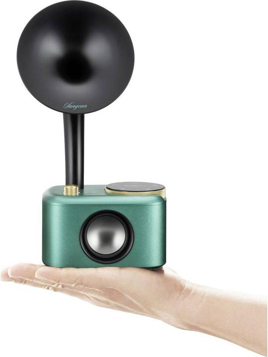 Actual product image Sangean CP 100D (DAB+, Bluetooth)