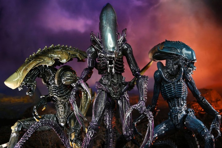 Produktbild Neca Alien vs Predator “Alien Sortiment” 3er Actionfiguren Set