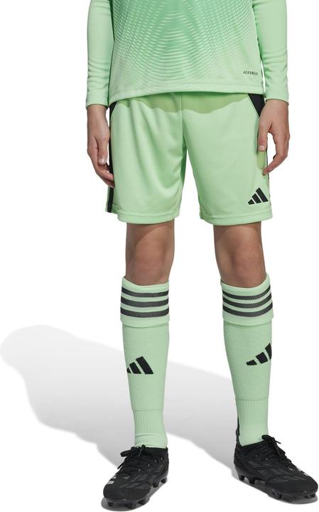 Produktbild adidas TIRO24 SHO Y (164)