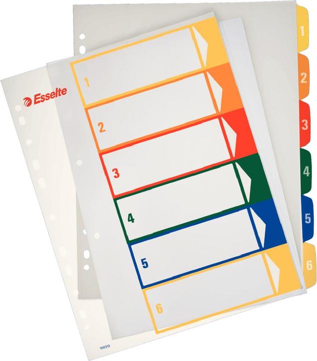 Actual product image Esselte Spacer A4 1/6 MAXI with printing option (100212)